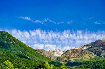 初夏のタデ原湿原