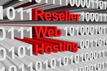 Reseller web hosting in the form of binary code, 3D illustration