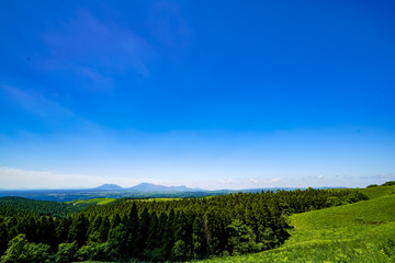 Naklejka premium 産山村 ヒゴタイ公園