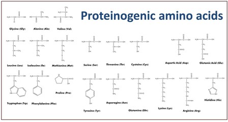 Structure of amino acids