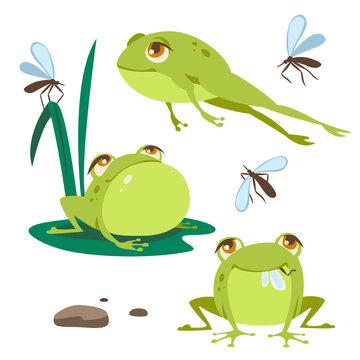 vector frog cartoon style set