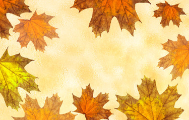 Naklejka na ściany i meble Background with autumn foliage. Background with maple leaves of yellow color.Illustration