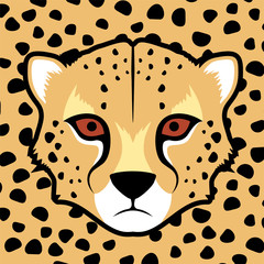 gepard face © RATOCA