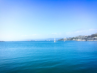 Obraz na płótnie Canvas Sailboat On Wellington Harbour