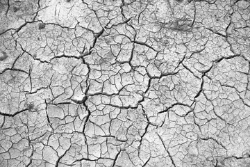 Drought dry ground, Concept drought.