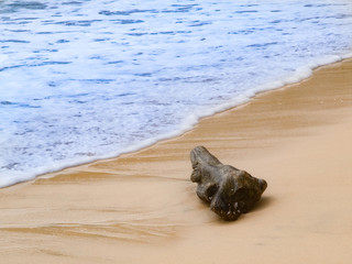 A log on the beach that will be taken by a wave.
