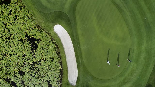 Golf course aerial view. Landscape of a golf court with palm trees in Punta Cana, Dominican Republic