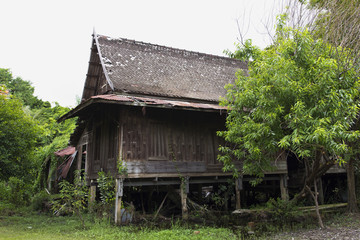 Fototapeta premium Architecture,house,building,wood,rural,former times ,shape thai ancient ,residence,nature