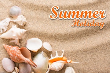 summer holiday background with text. Seashell on the beach.