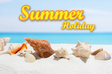 summer holiday background with text. Seashell on the beach.