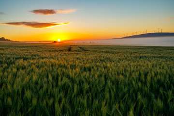 Fototapeta premium Misty Sunrise in Summertime