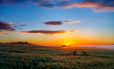 Misty Sunrise in Summertime