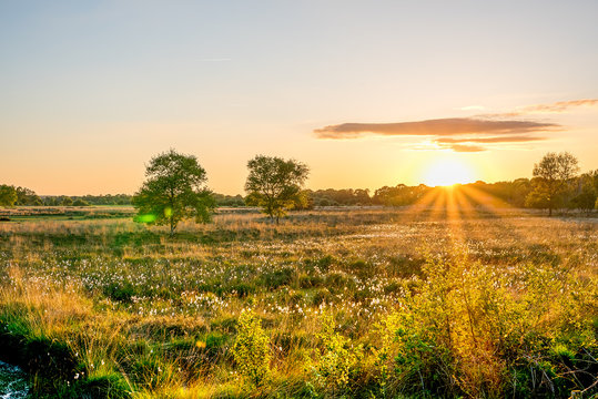 Wierdense veld Dutch Landscape