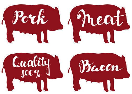 pig farm,vector illustration sketch. set vector logo design template