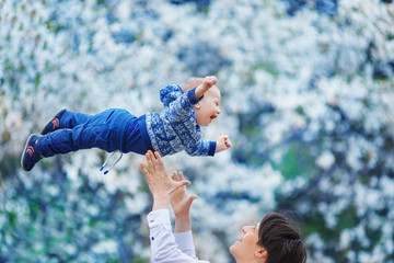 A man throws his son high up on the background of a blooming apricot garden. The boy laughs with...