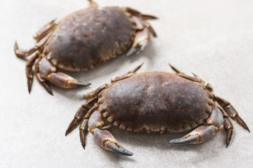 Fresh crabs on a stone background. Sea delicacies. Horizontal format