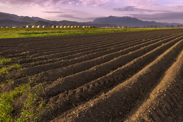 Plowed field of crops in the spring evening light, prepared to be sown, with beautiful village and misty mountains in the background