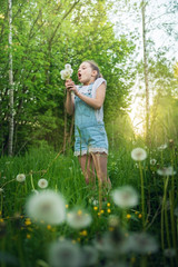 The child collects, blows fluffy white a dandelion.