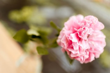 beautiful pink flower on a green background
