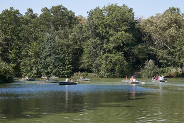 Central Park pond in New York with boats in a summer day