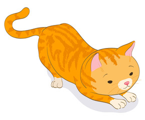 red tabby little cat in catching pose. cartoon vector illustration