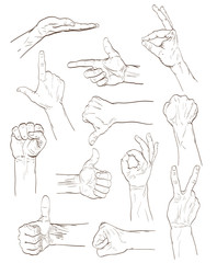 set of hands with different gestures on white. hand drawn sketches vector illustration