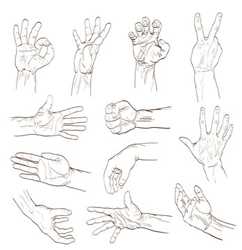 set of hands with different gestures on white. hand drawing vector illustration