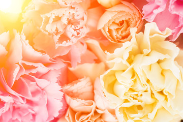 close-up floral composition Floral background with copy space