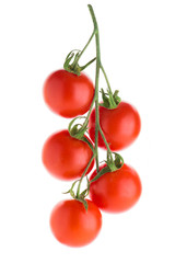 cherry tomatoes on a branch