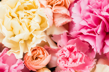 close-up floral composition