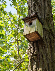 Small wooden birdhouse on a tree in a forest