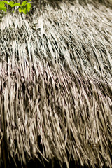 Strohstruktur eines Strohdaches