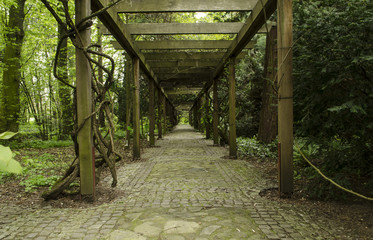 park  © wedrownik52