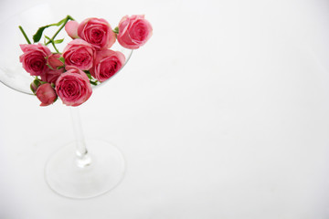 Fototapeta premium Flowers