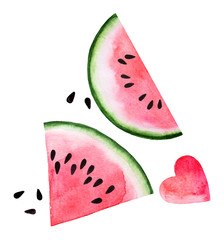 Sliced of red pink eco watercolor watermelon and seed isolated on white background. Exotic menu fruit card isolated