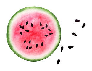 Sliced of red pink eco watercolor watermelon and seed isolated on white background. Exotic menu...