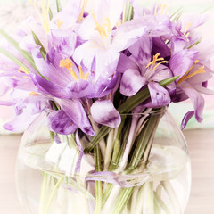 Bunch of violet crocus or saffron flowers in a vase, vintage image
