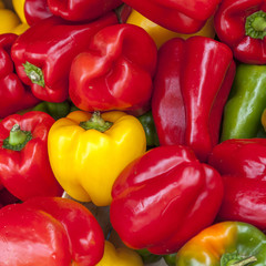 Paprika