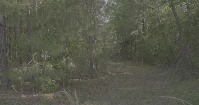 POV of riding ATV through forest up to fallen tree