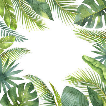 Watercolor frame tropical leaves and branches isolated on white background.