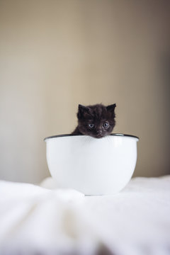 Lois Moreno Photos Images Assets Adobe Stock Lois Moreno Photos Images Assets Adobe Stock