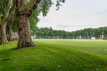 Typical English park with large spaces for sports