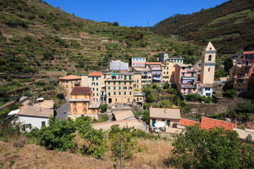Fototapeta na wymiar Manarola - Cinque Terre (Liguria)