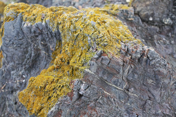 Rock Texture