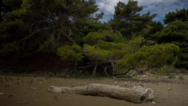 timelapse of a wooden shack on beautiful limoni beach in mljet island, croatia with stunning crystal clear water of the adriatic sea.