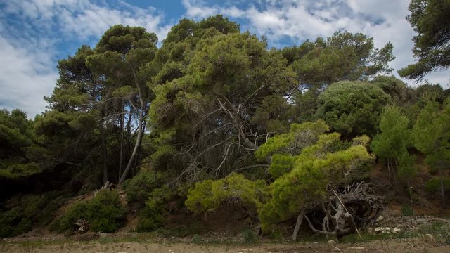 timelapse of a wooden shack on beautiful limoni beach in mljet island, croatia with stunning crystal clear water of the adriatic sea.