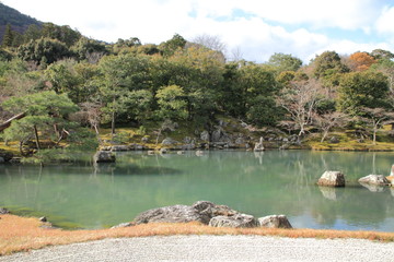 Fototapeta premium 天龍寺 曹源池庭園