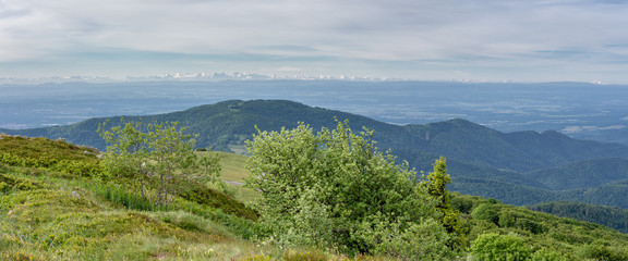 Fototapeta na wymiar French countryside - Vosges. Panoramic view to a valley in the Vosges and a road through the mountains. In the background you can admire the Alps.
