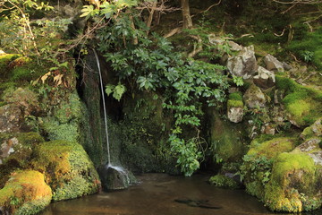 銀閣寺の洗月泉