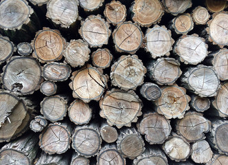 Folded stack of firewood